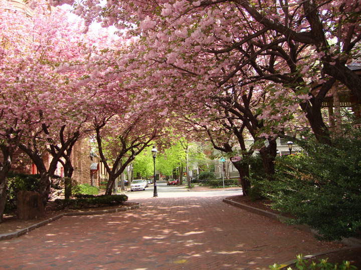 photo of salem street